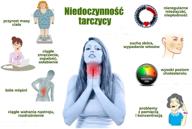 Czy leki na niedoczynność tarczycy powodują tycie? Fakty i mity o wadze Czy leki na niedoczynność tarczycy powodują tycie? Fakty i mity o wadze