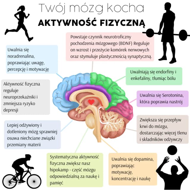 Jak aktywność fizyczna wpływa na zdrowie psychiczne: korzyści i naukowe dowody Jak aktywność fizyczna wpływa na zdrowie psychiczne: korzyści i naukowe dowody